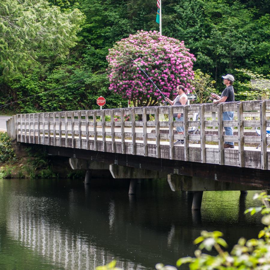 Bridge fishing at Lake Sylvia.