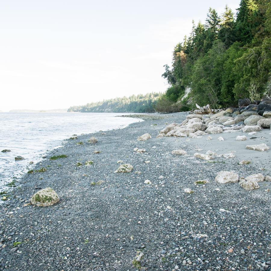 Looking down a rocky beach with bushes, large rocks and trees along the beach edge.