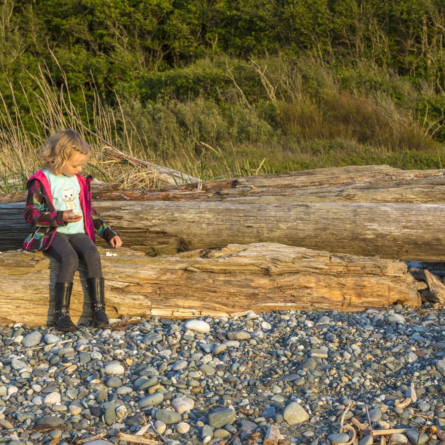 A blonde girl wearing a light blue shirt with a printed cat and a multi-colored pink jacket and black pants and boots sits on driftwood looking at her collection of rocks or seashells. 