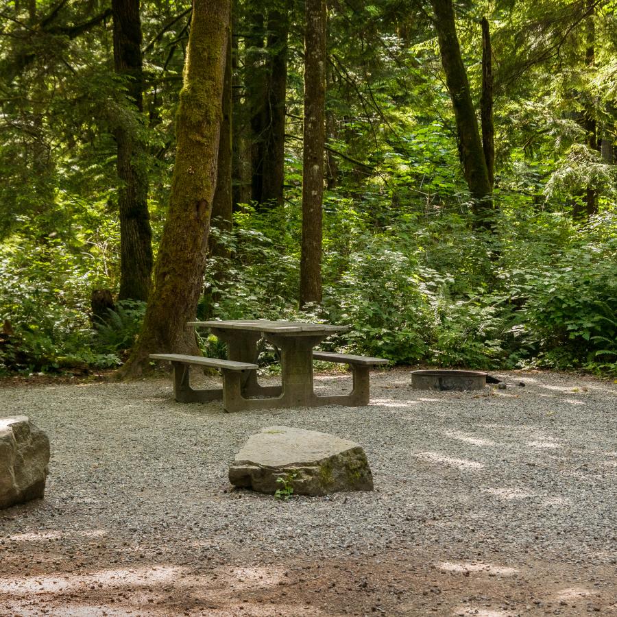 A lone, cement picnic table and fire ring sit on a gravel camping pad with large boulders creating the campsite boundary. Tall evergreen trees and greenery surround the campsite.