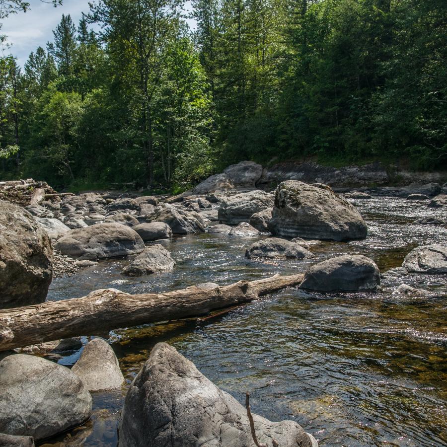 A woman waring a black tanktop with brown hair walks through large boulders at the river's edge. A down log lies across some rocks, going into the water. Evergreen trees and green shrubs sit on the river's edge with a blue sky poking through the tops of the trees.