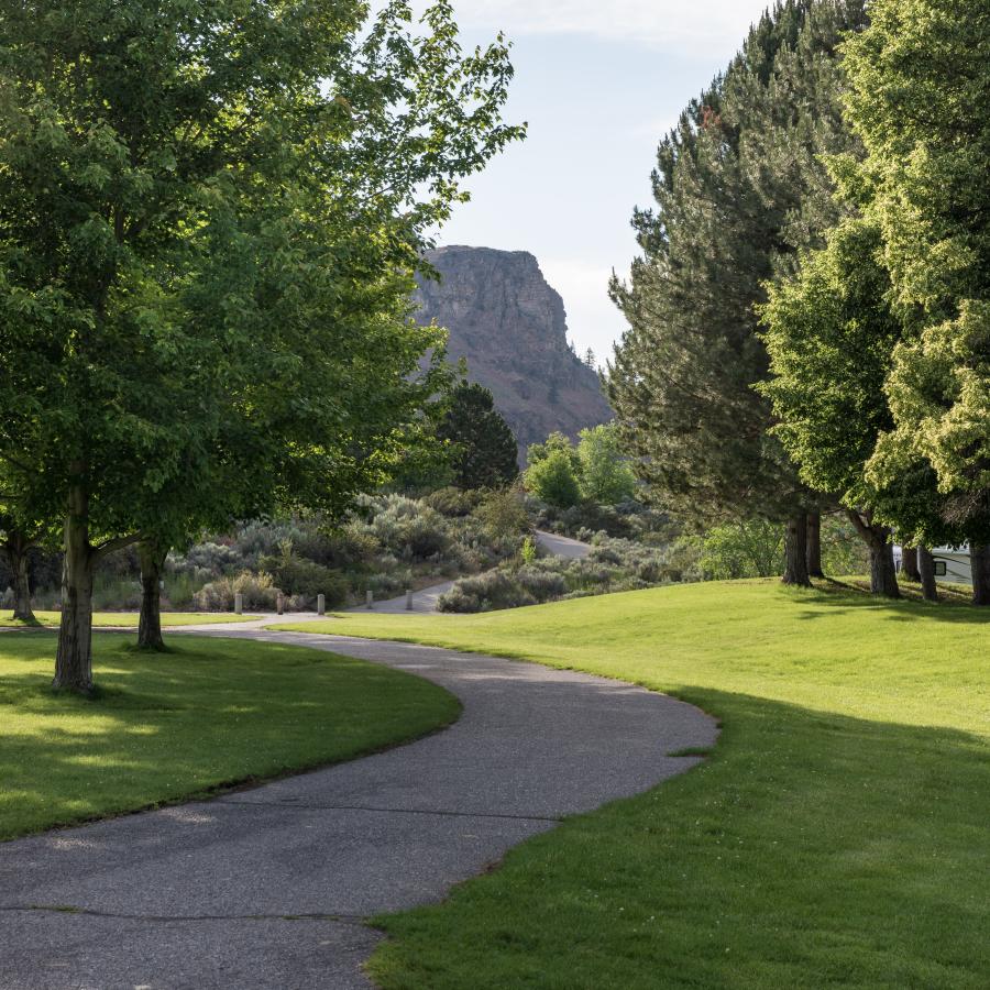 A cement walkway goes through a grassy lawn with green trees in the grass. The Lincoln Rock can be seen in the background. 