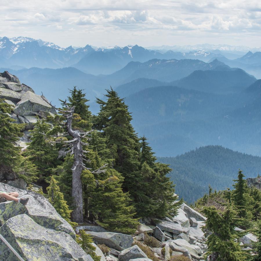 A hiker takes a break on a rock seat next to a group of evergreen trees. Forested mountains and a snowcapped mountain with a cloudy sky sit in the background.