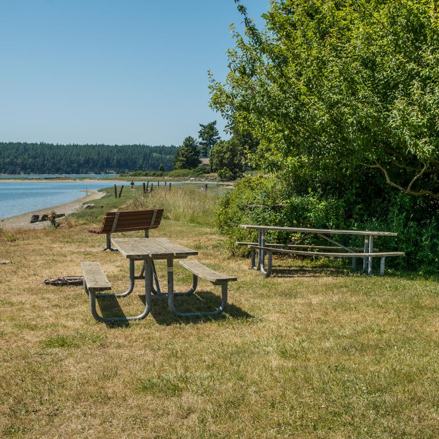 Two wood picnic tables sit on grass next to a fire ring and a bench looking out over the water. A large green shrub sits behind the tables and forested hills and a blue sky are in the background.