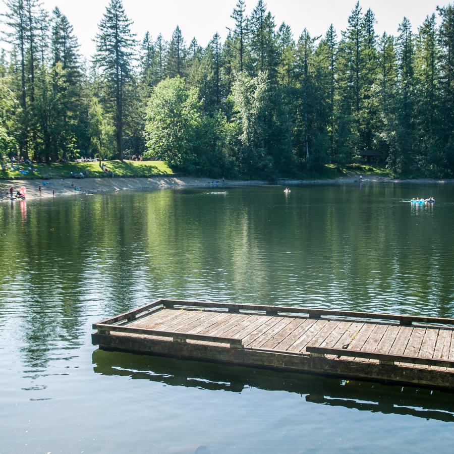 A floating dock sits alone in the water as users play on the beach or swim in the waters behind it. Evergreen trees and green trees line the grassy lawn behind the sandy beach. 
