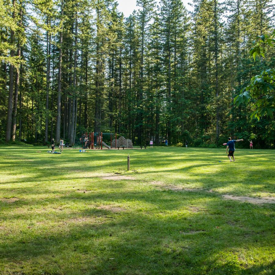 Users play various lawn games on a green, grassy lawn with a playground in the background. The area is surrounded by tall evergreen trees. Sunlight and a blue sky poke through the trees.
