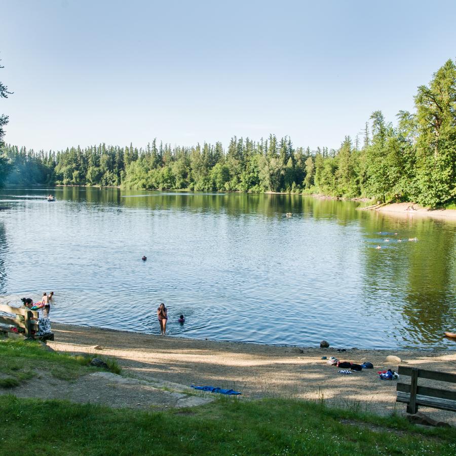 Looking down the lake from the grassy lawn, with the sandy beach on a slight hill with users swimming, towels and belongings on the beach and a person sitting on a bench. Evergreen trees and green shrubs and trees line the lake that is reflecting the clear blue sky. 