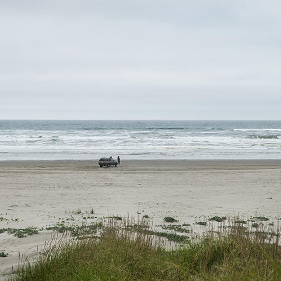 A wide, flat sandy shoreline framed above with low, rolling ocean waves and below with shrubby dune grass