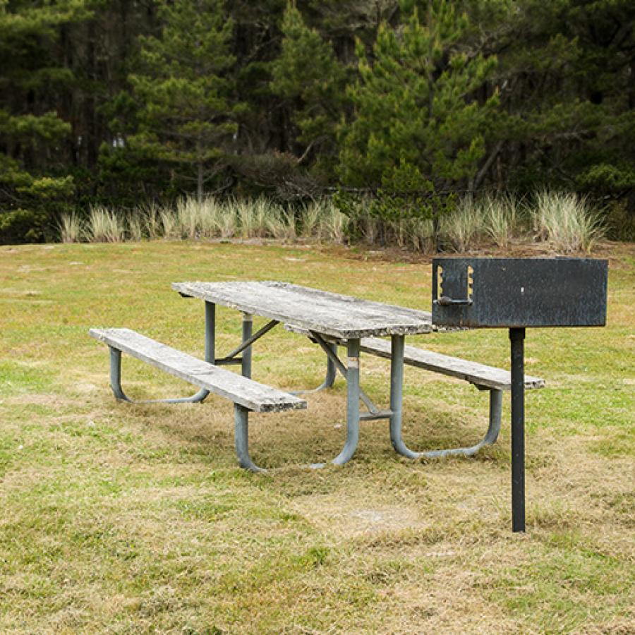 A picnic table and brazier in the middle of a wide green lawn with a dense forest in the background