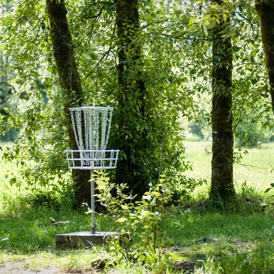 A silver disc golf net sits on a cement block on green grass surrounded by green leafy trees and bushes.