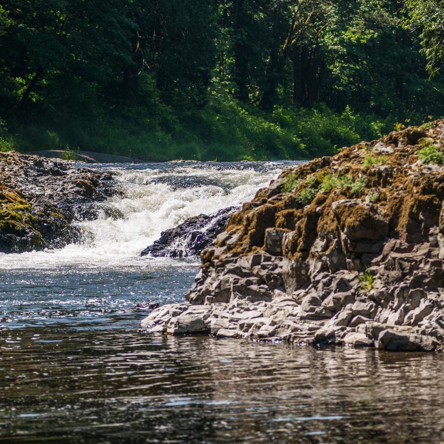 A low, shimmering waterfall flows past basalt rock covered in moss. Thick forest can be seen in the background.