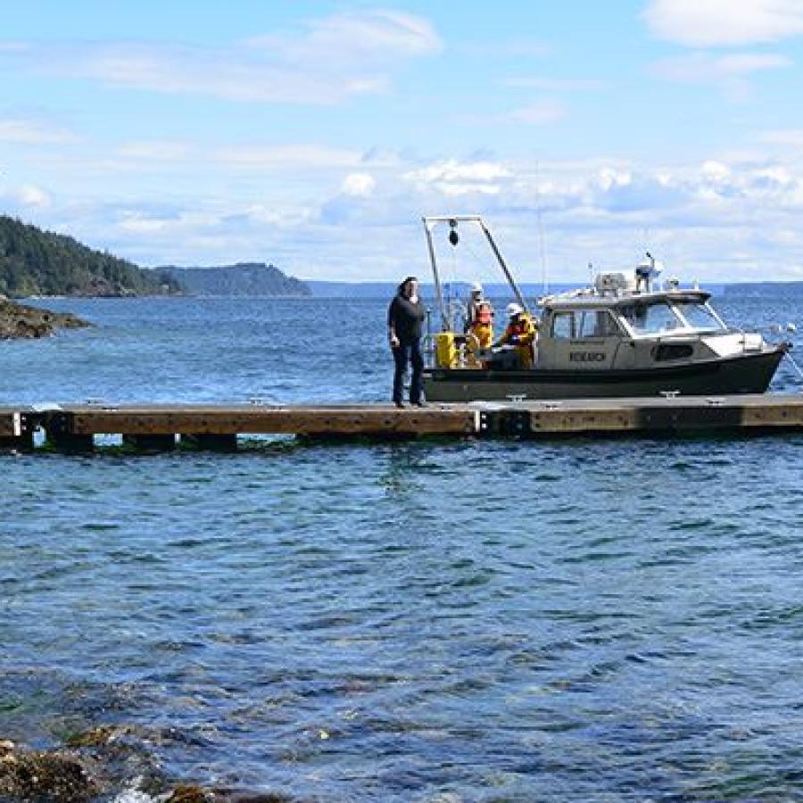 People stand on a long boat dock reaching into blue water. A boat is tied to the end of the dock and the people hold fishing poles. The sky is blue with fluffy clouds and a tree-covered shoreline extends into the distance.