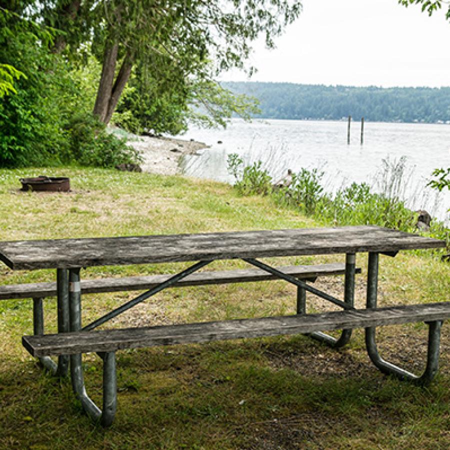 Twanoh State Park campsite along shoreline with picnic table.