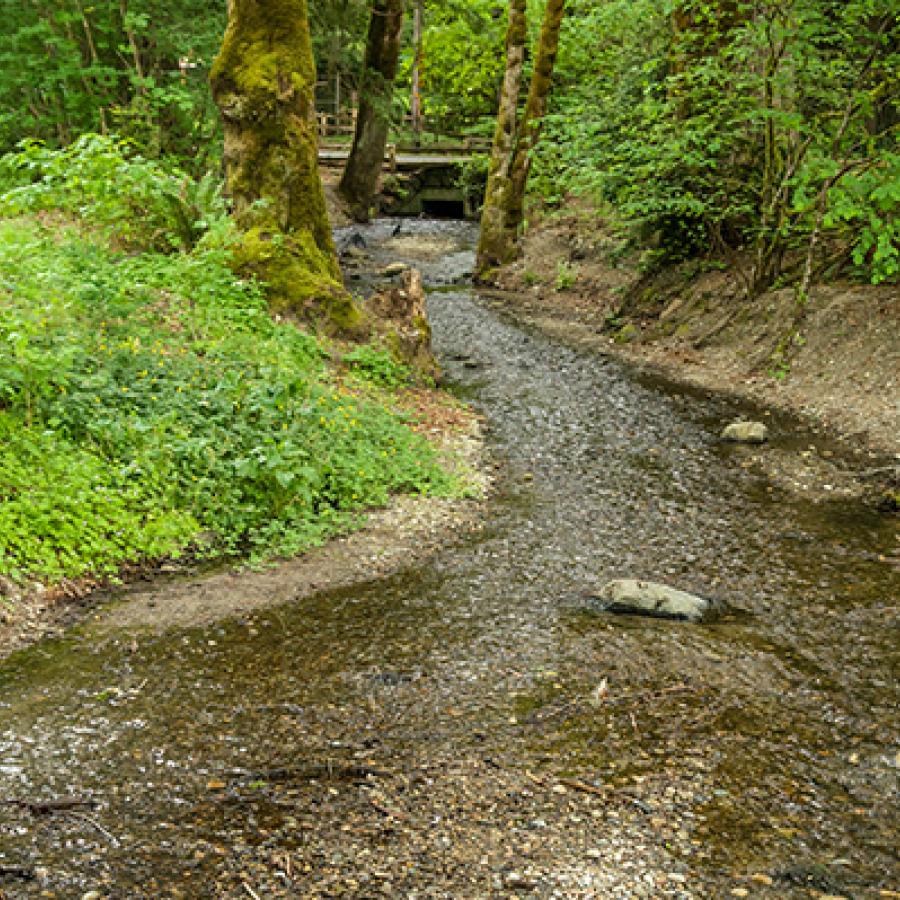 Twanoh State Park creek with rocky shores.