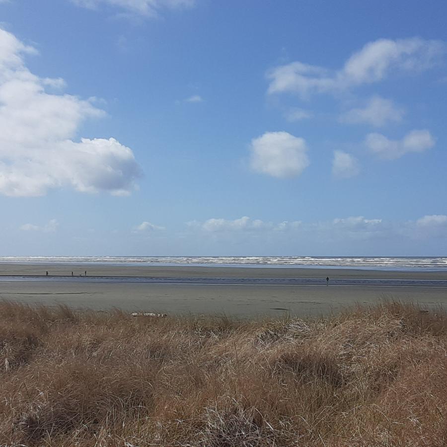 Sand dunes at Pacific Beach