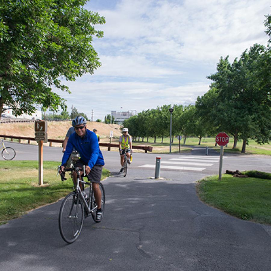 Several people riding bicycles on paved paths winding through green lawns and trees at Wenatchee Confluence State Park