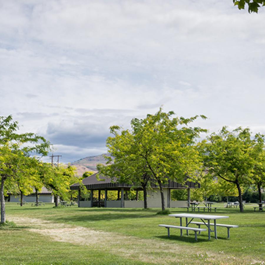 Deciduous trees wave in the wind on a green lawn. A picnic table sits in the foreground.