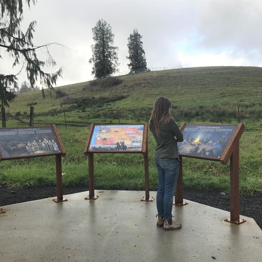 A person with long hair and wearing a T shirt and jeans looks at one of three interpretive panels set in a semi-circle on a concrete pad. A grassy hill with a few sparse evergreen trees on it rises under a cloudy sky in the background.