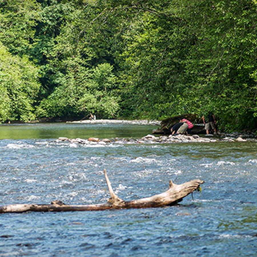 A wide shot of a shallow river with people getting ready to float and steering a paddleboard in the distance. Thick trees rise in the background.