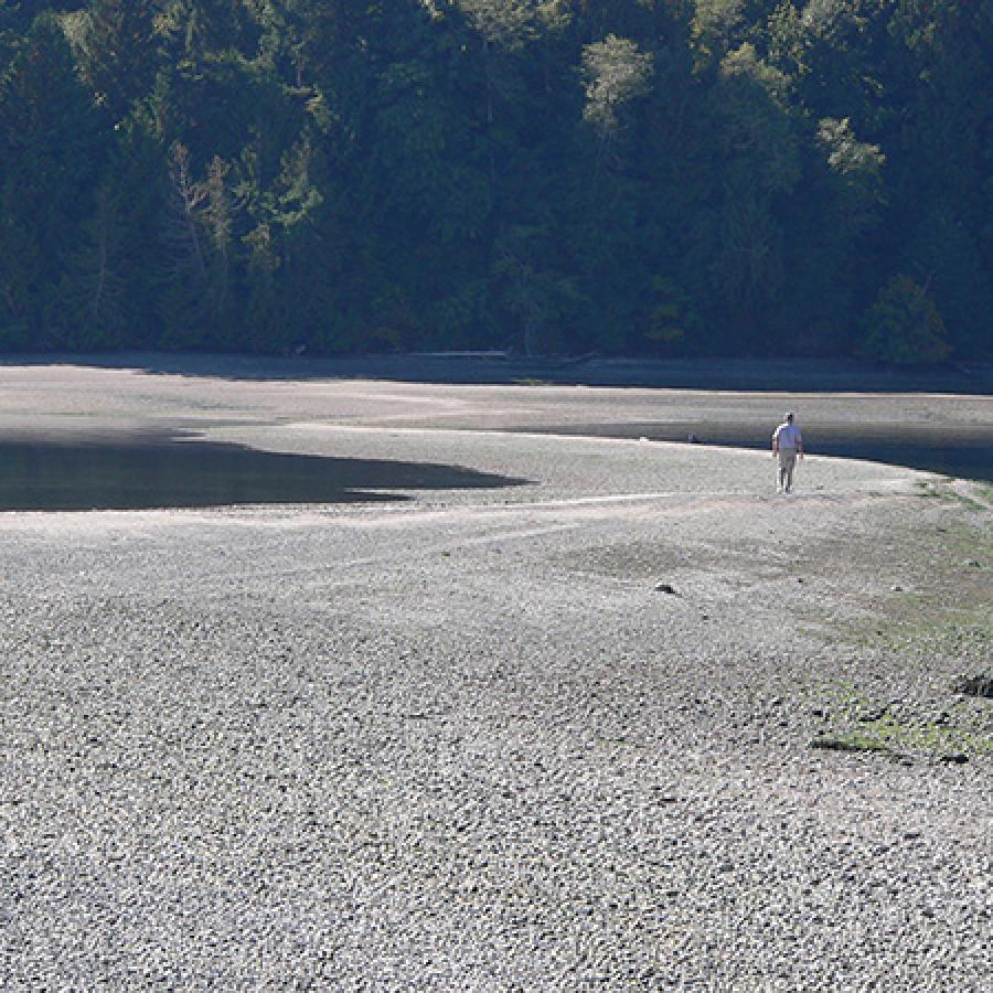 A lone person strolls down a wide, rocky beach with shallow water on either side and tall pines rising in the background.