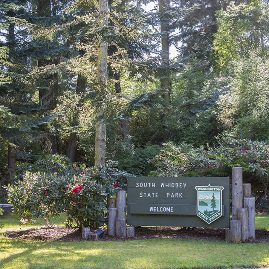 Welcome sign with trees and flowers