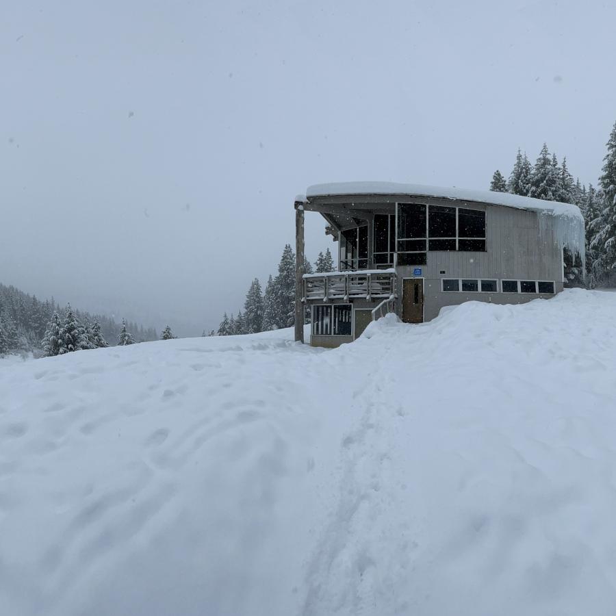 Lodge surrounded by snow and trees.