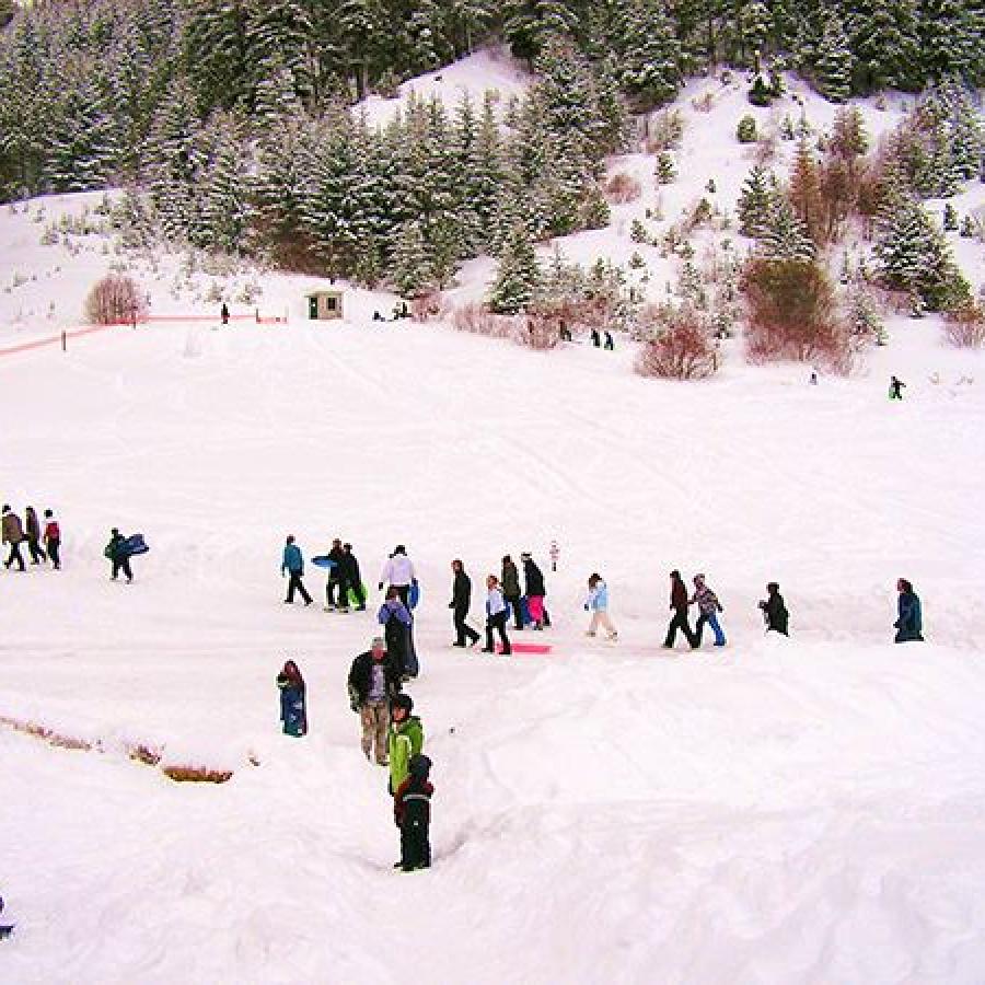 group sledding on large hill