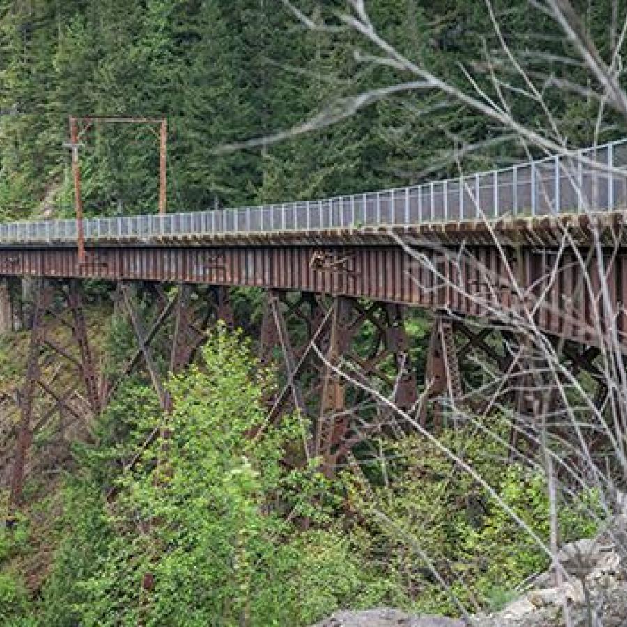 A weathered bridge with chain link fencing along the sides go across a valley covered in leafy green and evergreen trees. Rocks can be seen poking out of the hillside.