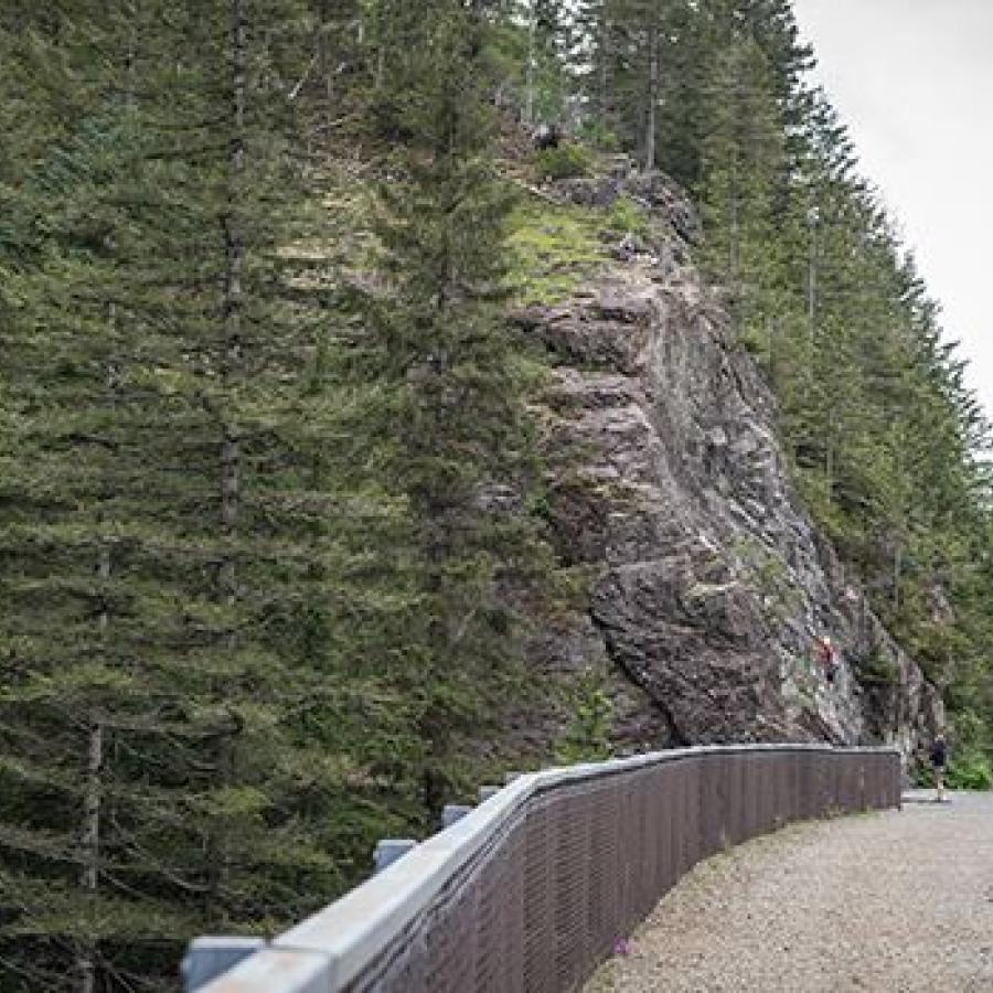 Standing on a bridge with chain link sides and a gravel surface, looking down trail a person in khaki shorts and a blue sweater is looking at a rock outcrop on the side of the trail. Evergreen trees are growing along side the trail and hillside.