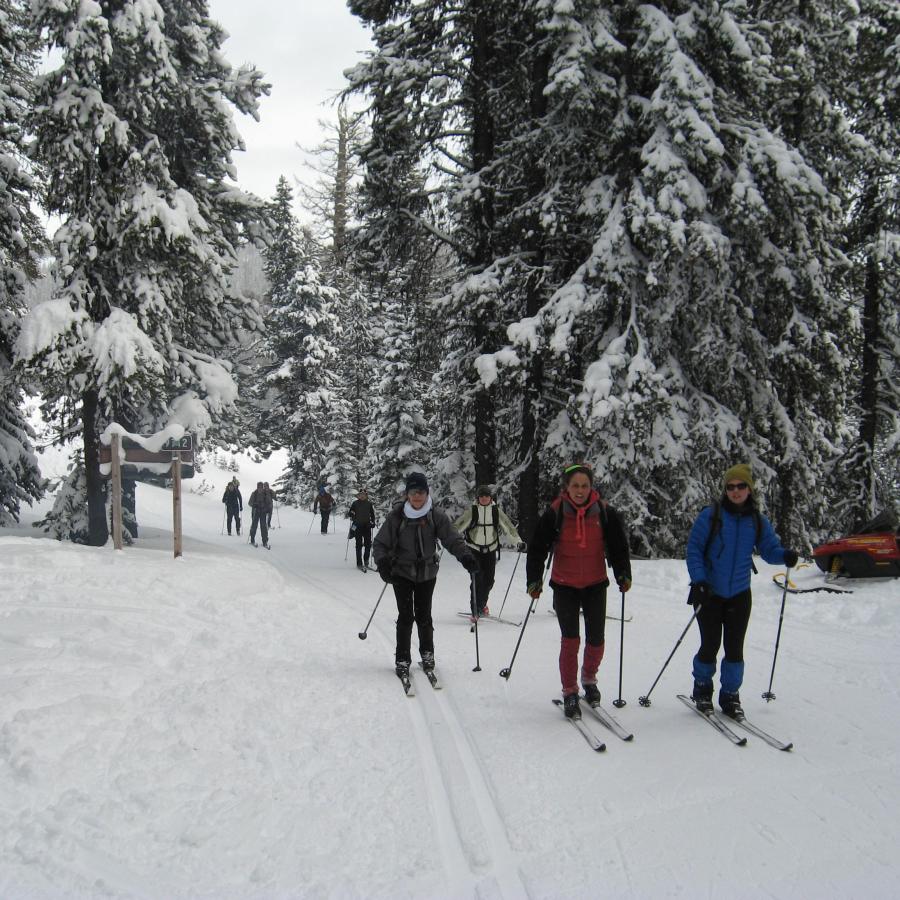 cross-country skiers on a groomed trail at a sno-park