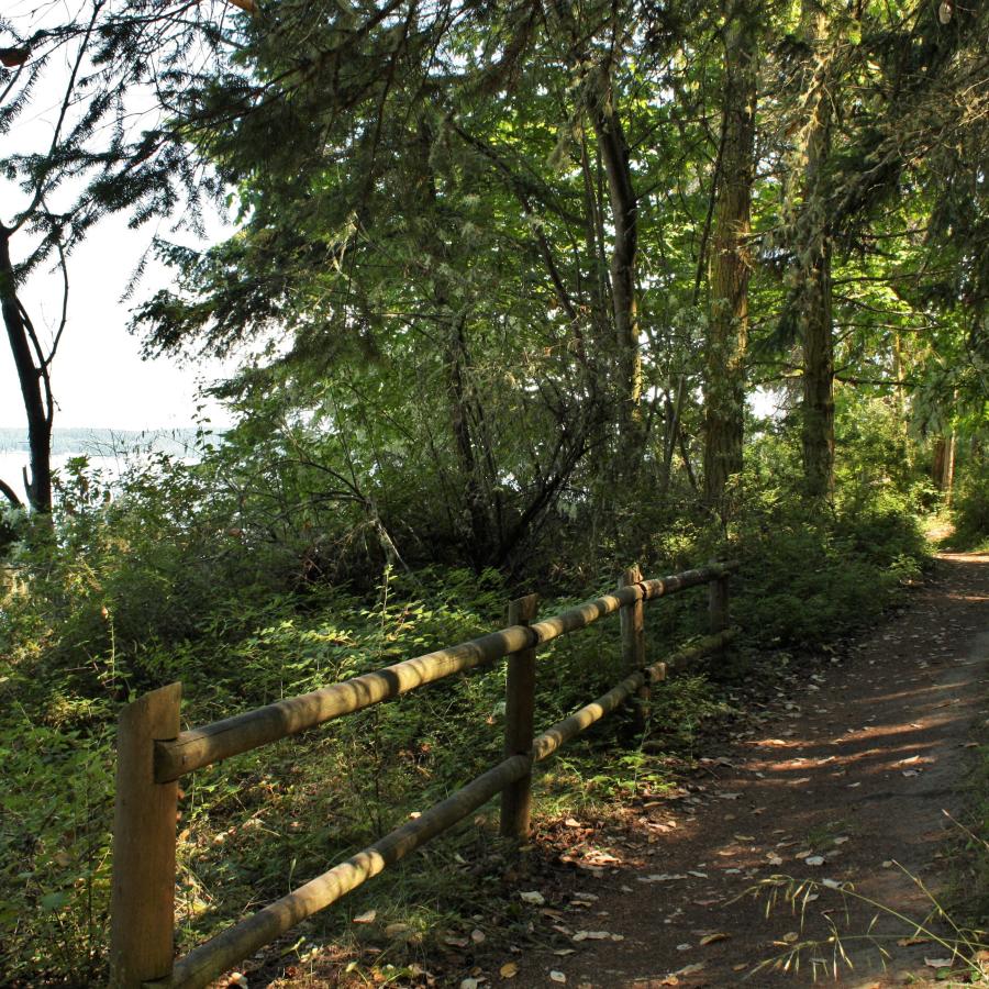 Bluff trail overlooking Port Townsend Bay.