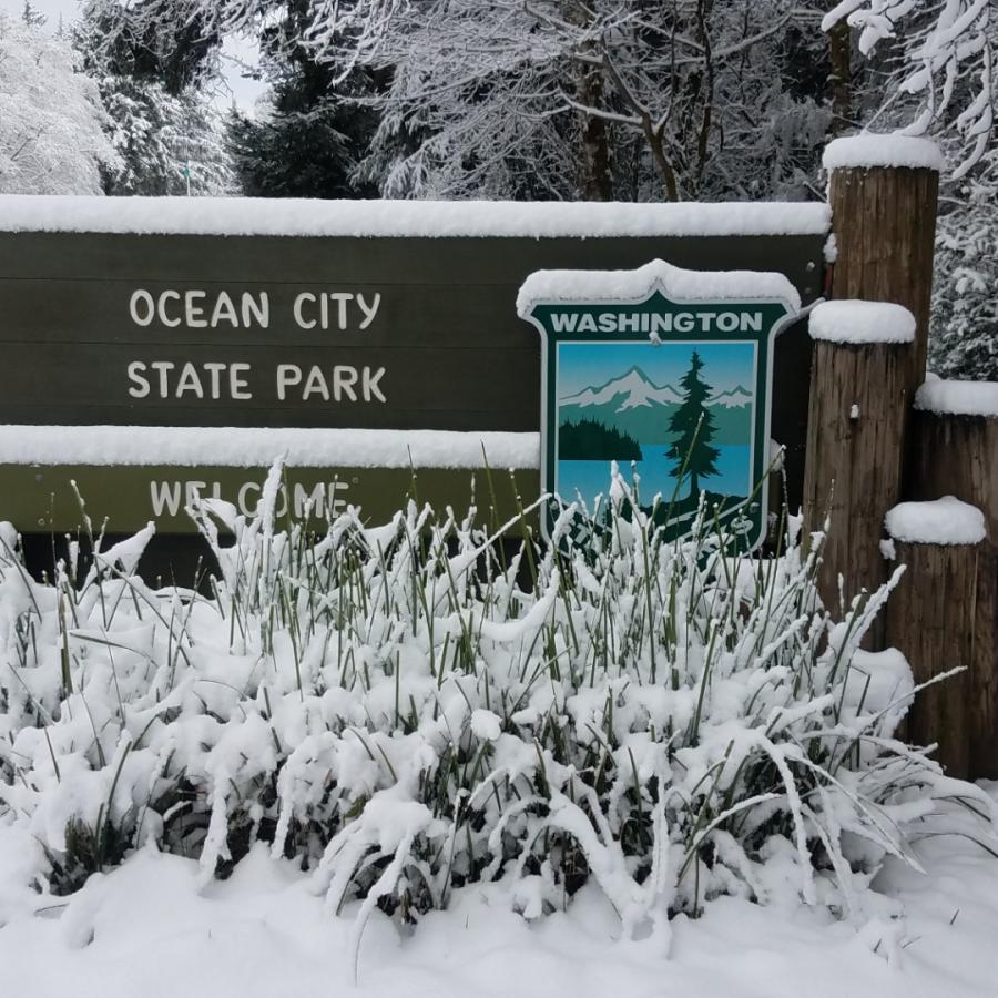 Ocean City State Park entrance sign, covered in snow, icy plants in background.