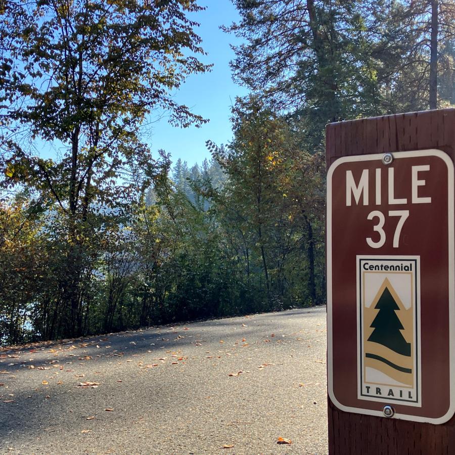 A milepost marker sits slightly off the flat asphalt trail lined with green leafy and evergreen trees.