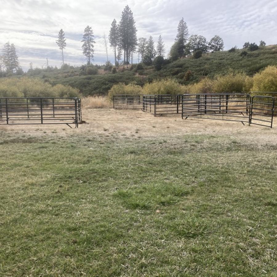 Group camp corrals