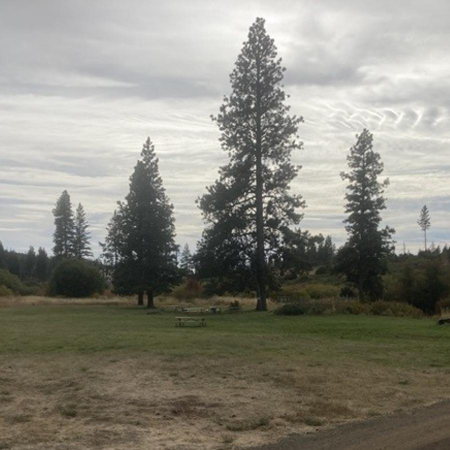 Group camp overview