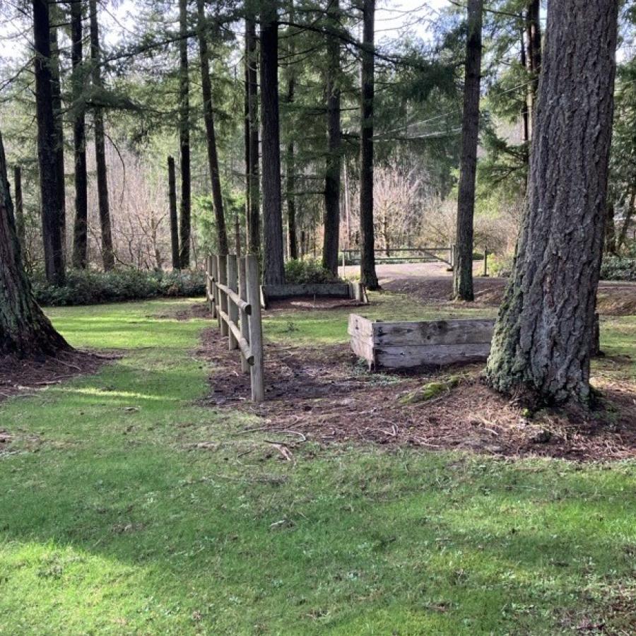 pine trees surround green grass with horseshoe pit in the midst