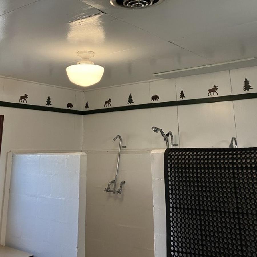 shower facilities showerhead and surrounding tile wall