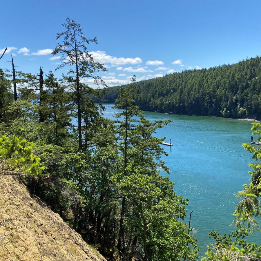 Standing on the edge of a tall hillside, covered with grass, rocks and evergreen trees, looking over water with a treed hillside and blue, slightly cloudy sky in the background. The water is obscured with trees from the tall hillside, with an opening to partially view two docks in water.