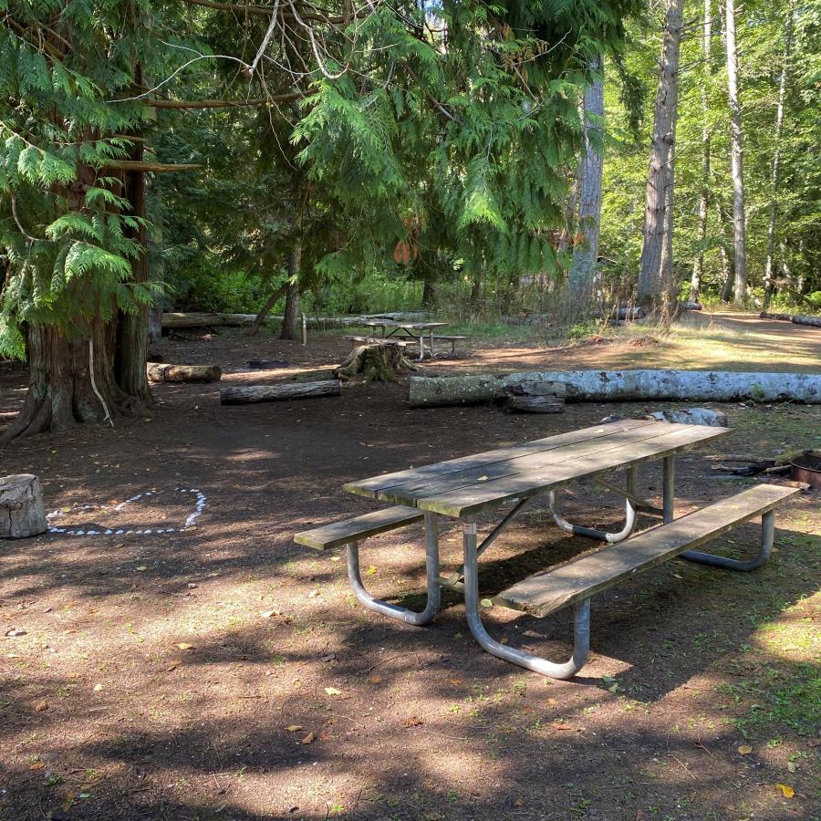 A large cedar tree, nestled in compact dirt and foliage debris, sits in the middle left, next to campsite 13's post. In front of the post and tree sits a small log, a heart made of white rocks, a weathered picnic table and a campfire ring. Long logs line the back of the campsite, creating another site, lined with tall evergreen trees in the background.