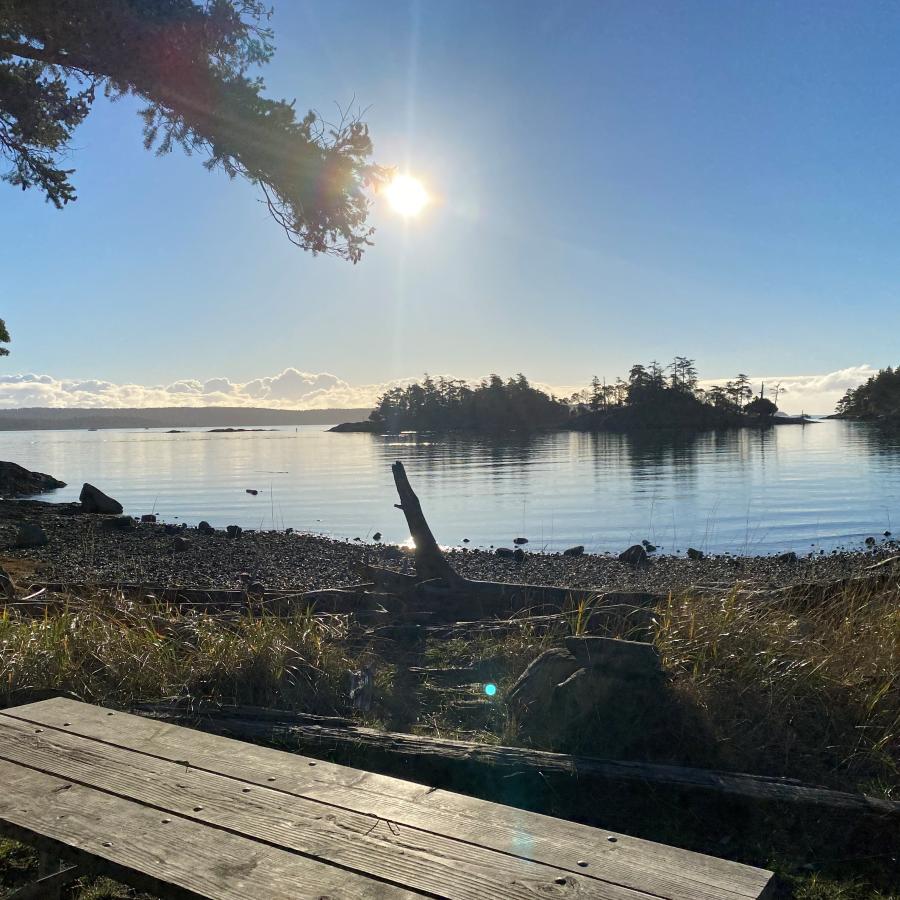 A picnic table on grass sits in the foreground separated from the rocky beach by a line of tall grass and driftwood. In the upper left, an evergreen tree branch hangs into view. A short distance off shore, under the sun and blue sky with a cloudy horizon, sits a small treed island. Treed hillsides sit on the right and along the horizon in the background.