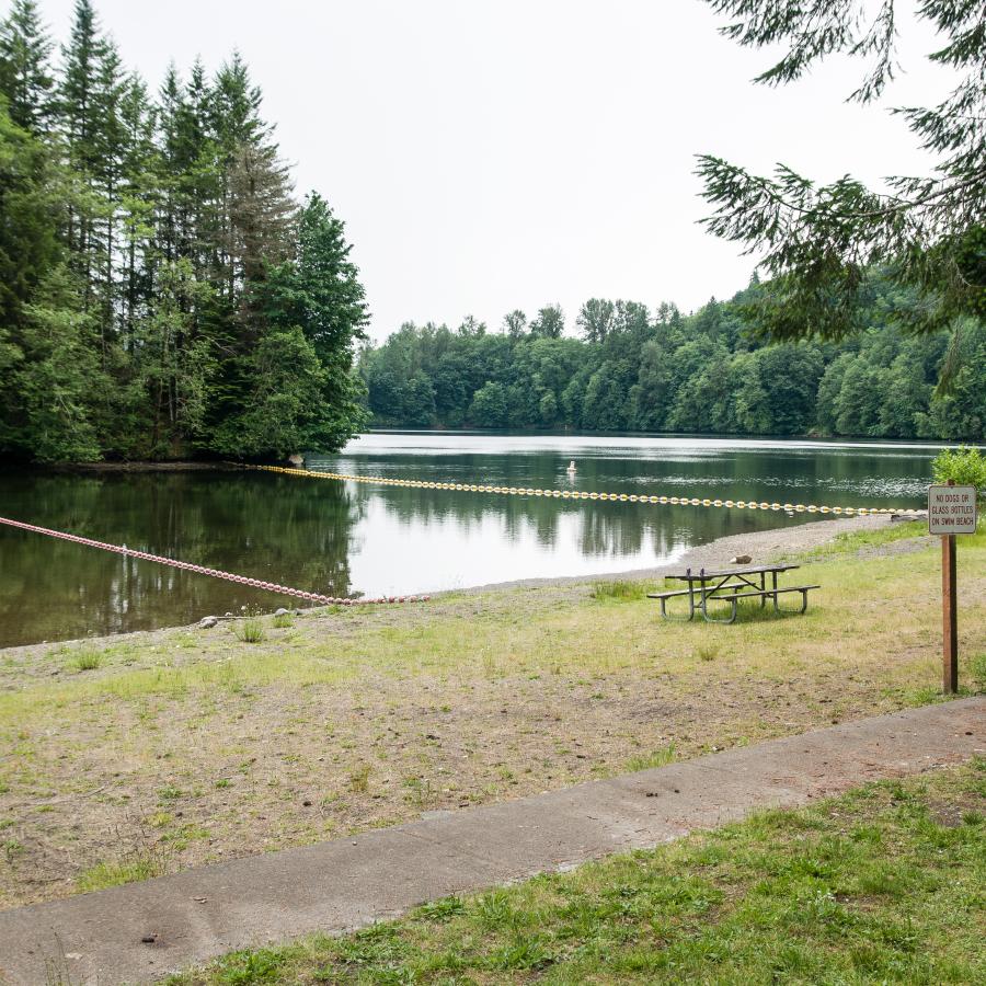 Lakeside beach with picnic tables and swim area