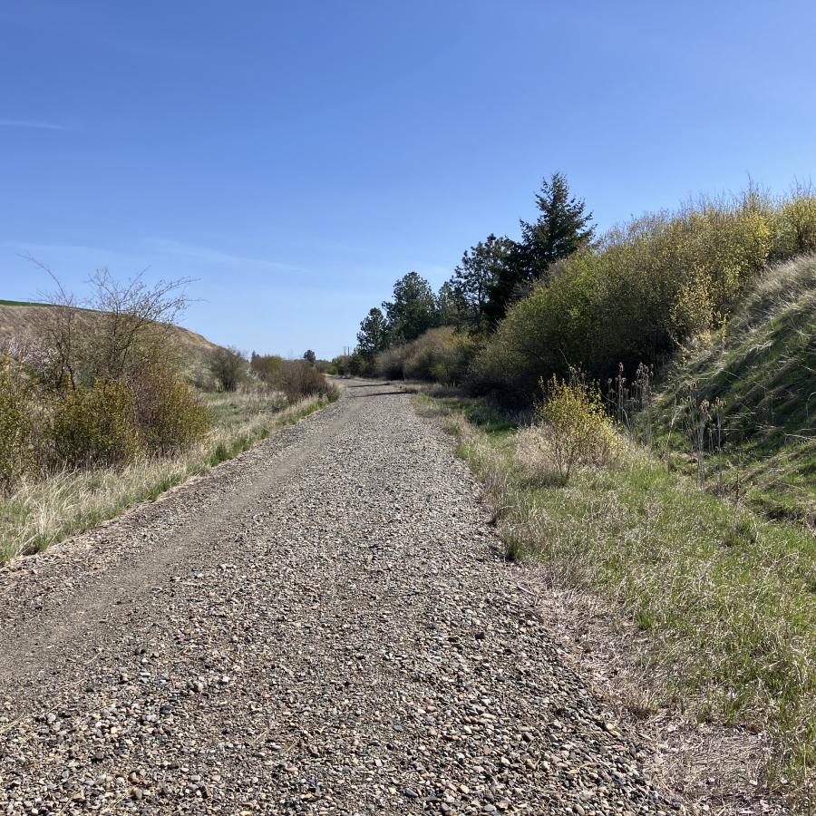 A gravel trail winds through low, grassy burms. It's sunny.