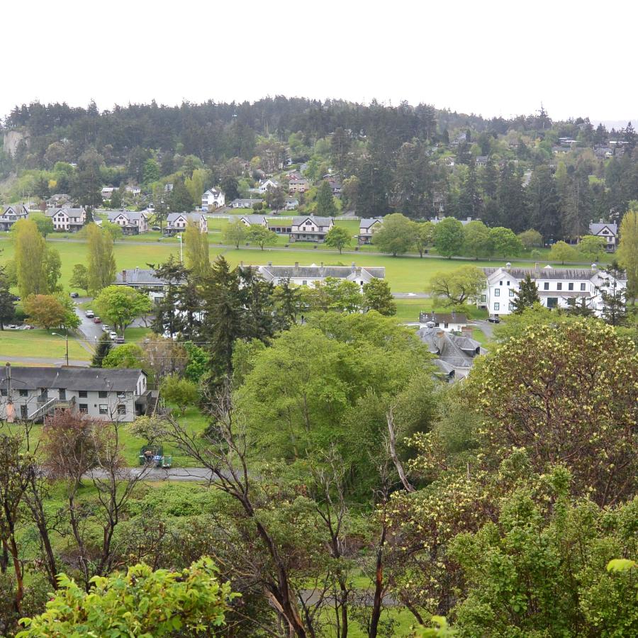 A view from a hill of a military fort, a beach and green trees