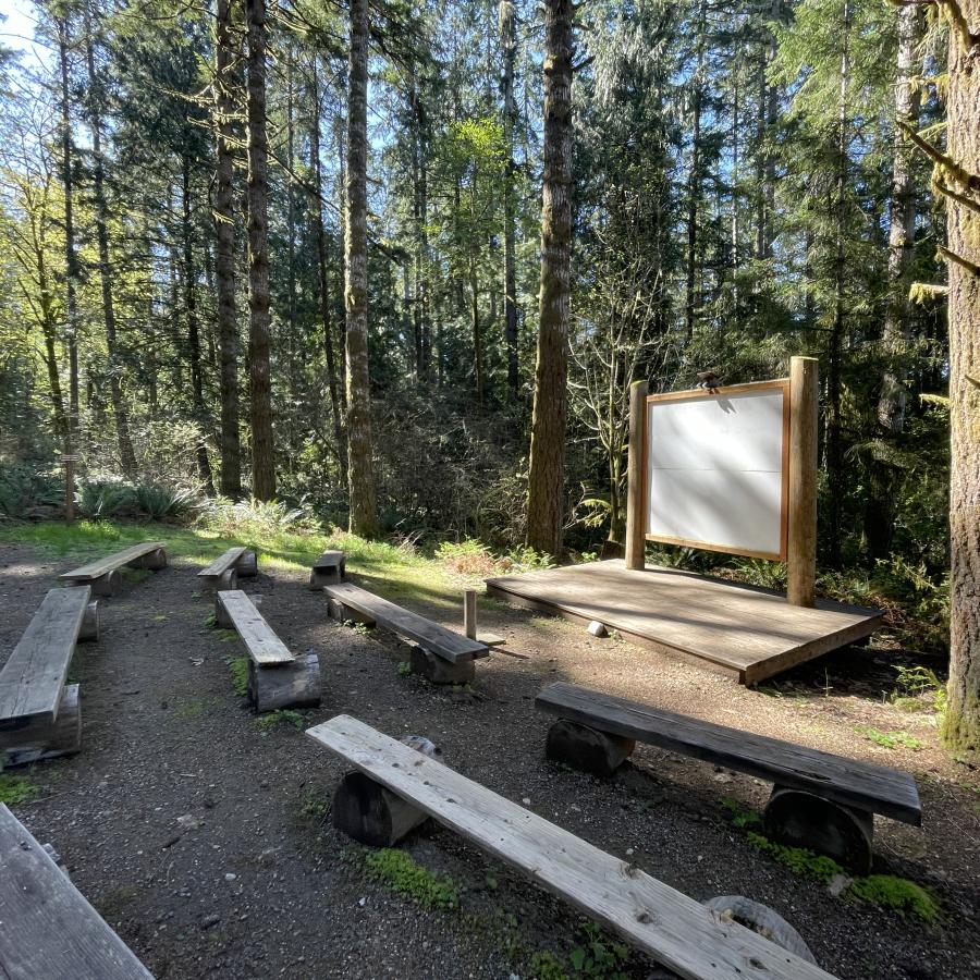 Jarrell Cove amphitheater nestled in the woods with sunlight streaming through the trees