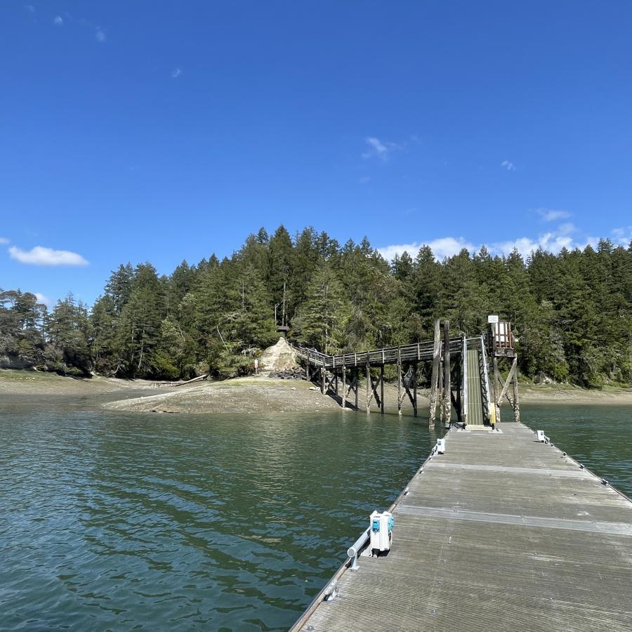 Jarrell Cove Long Dock Blue Sky Shimmering Water Tall Trees