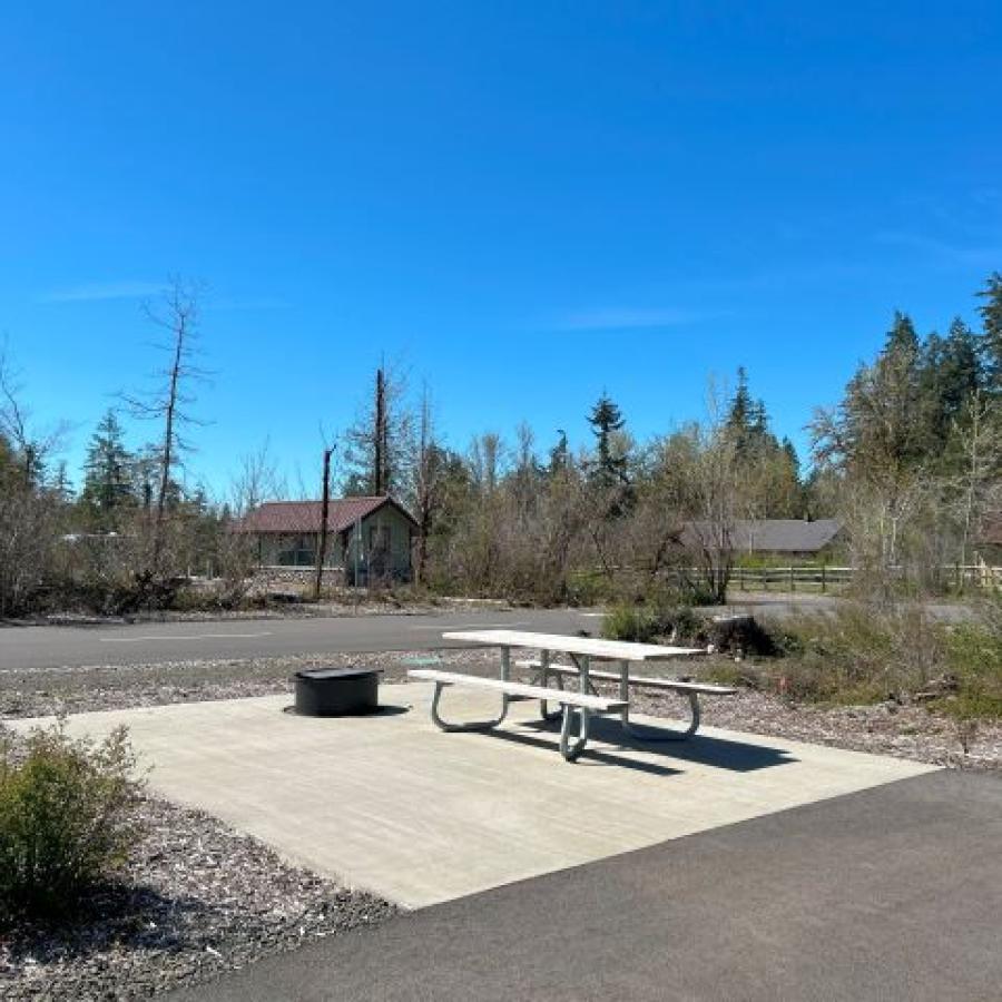 Schafer Cabin Picnic Table & Firepit