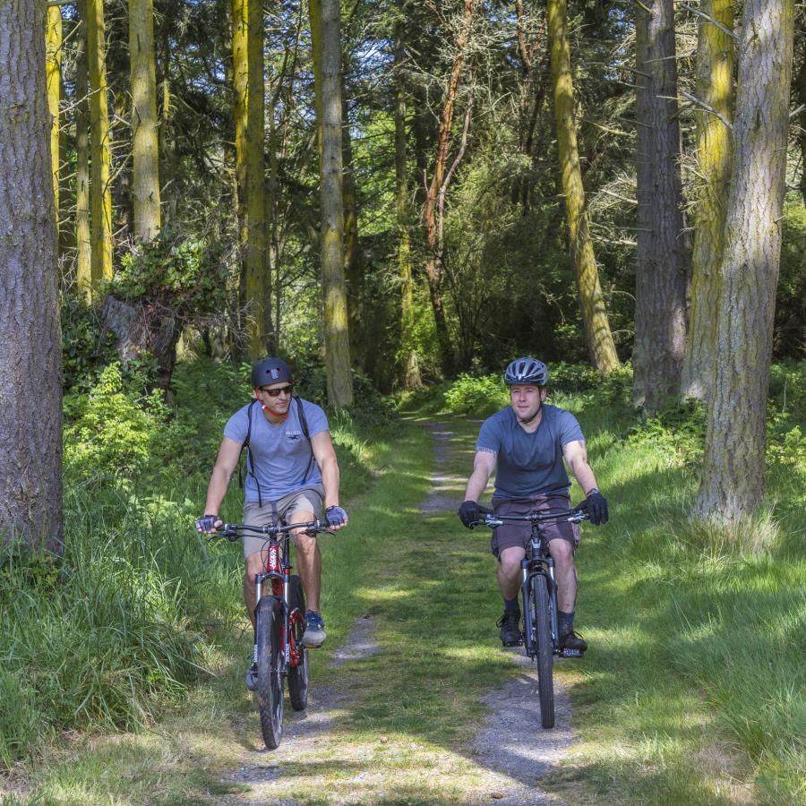 Two people ride mountain bikes on a doubletrack trail among lush grass and tall trees.