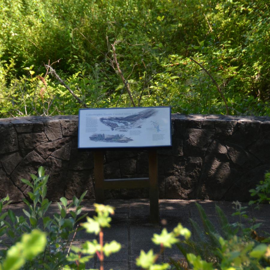 Mount St. Helens Visitor Center Wetland Trail Information panel in front of stone wall surrounded by foliage