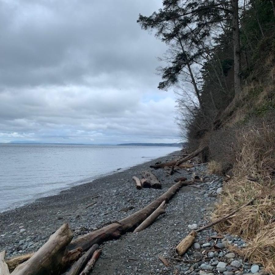 A rocky beach with a pile of driftwood and a treed hillside to the right. Across the water, land jets out meeting the grey, cloudy sky