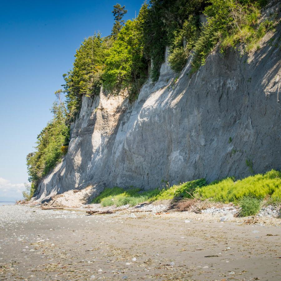 A white and grey cliffside topped with green trees sides next to a sandy, rocky beach. A blue sky and clouds sit in the background